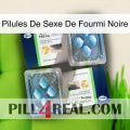 Black Ant Sex Pills viagra5